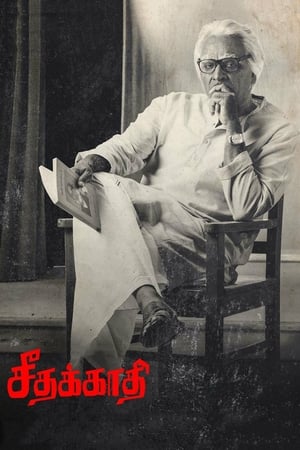 Seethakaathi (2018) Hindi Dubbed 720p HDRip [1.1GB] - Movierulz