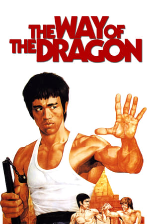 The Way of the Dragon (1972) Hindi Dual Audio 720p BluRay [940MB] - Movierulz